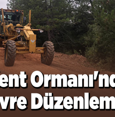 Kent Ormanı'nda çevre düzenlemesi