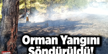 Orman yangını söndürüldü!