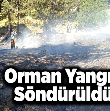Orman yangını söndürüldü!