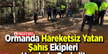Ormanda hareketsiz yatan şahıs ekipleri harekete geçirdi
