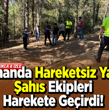 Ormanda hareketsiz yatan şahıs ekipleri harekete geçirdi
