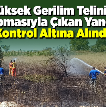 Yüksek gerilim telinin kopmasıyla çıkan yangın kontrol altına alındı