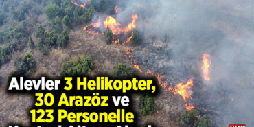 alevleri 3 helikopter, 30 arazöz ve 123 personelle kontrol altına aldı