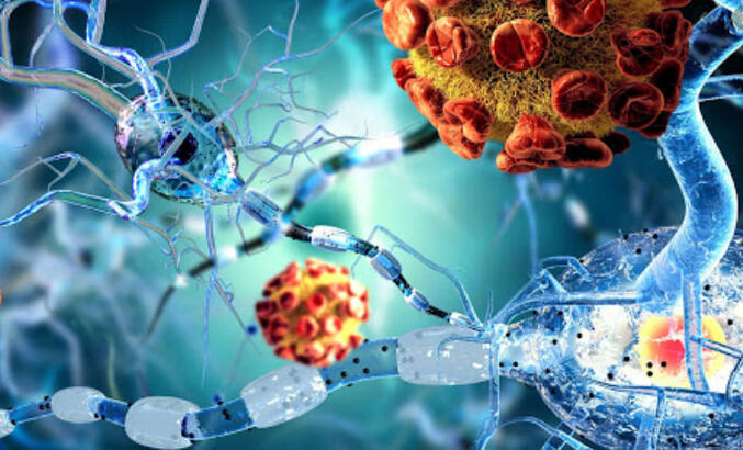 Kök Hücre Tedavisi: Dr. Arslan Kliniği’nde Sağlıkta Yeni Bir Dönem