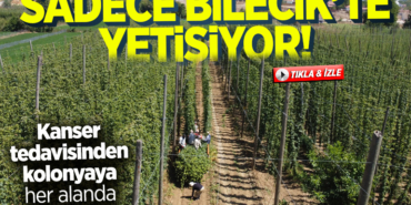 şerbetçi