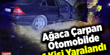 Ağaca Çarpan Otomobilde 1 kişi yaralandı