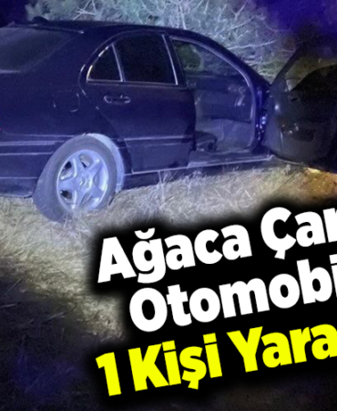 Ağaca Çarpan Otomobilde 1 kişi yaralandı
