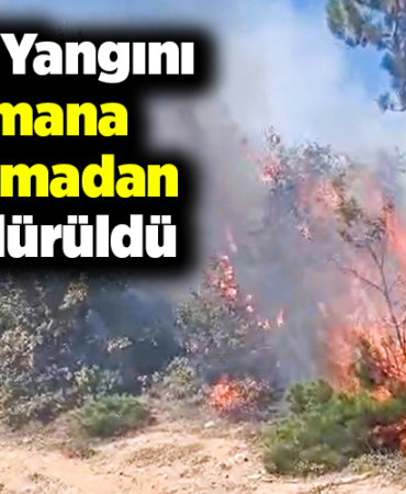 Arazi yangını ormana sıçramadan söndürüldü