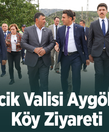 Bilecik Valisi Aygöl'den köy ziyareti