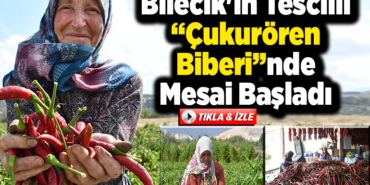 Bilecik'in Tescilli Çukurören Biberinde Mesai Başladı
