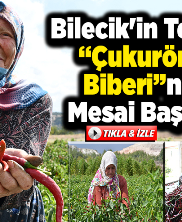 Bilecik'in Tescilli Çukurören Biberinde Mesai Başladı
