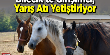 Bilecik'te Girişimci, Yarış Atı Yetiştiriyor