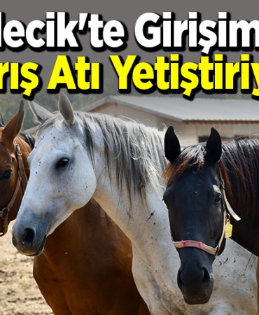 Bilecik'te Girişimci, Yarış Atı Yetiştiriyor