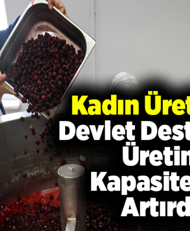 Kadın üreticiler devlet desteğiyle üretim kapasitesini artırdı