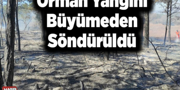 Orman yangını büyümeden söndürüldü