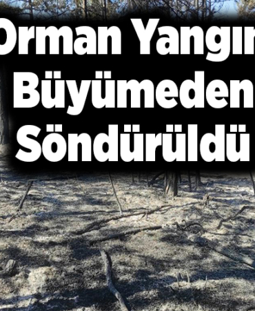 Orman yangını büyümeden söndürüldü