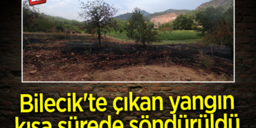 yangın