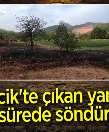 yangın