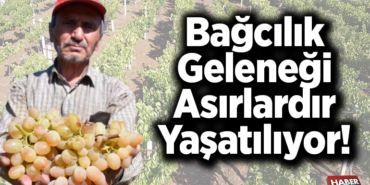 Bağcılık geleneği asırlardır yaşatılıyor