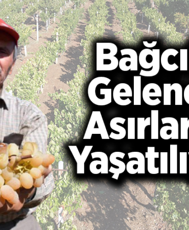 Bağcılık geleneği asırlardır yaşatılıyor