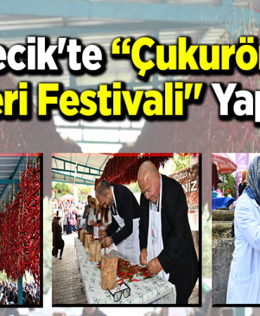 Bilecik'te Çukurören Biberi Festivali yapıldı