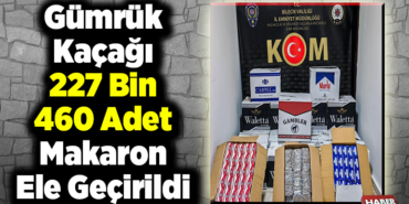 Gümrük kaçağı 227 bin 460 adet makaron ele geçirildi