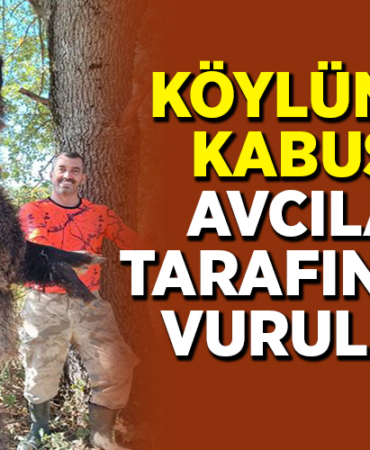 KÖYLÜNÜN KABUSU AVCILAR TARAFINDAN VURULDU