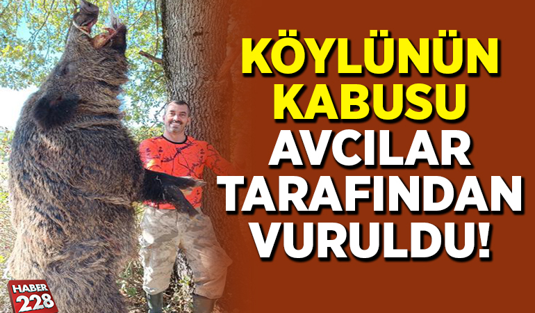 KÖYLÜNÜN KABUSU AVCILAR TARAFINDAN VURULDU