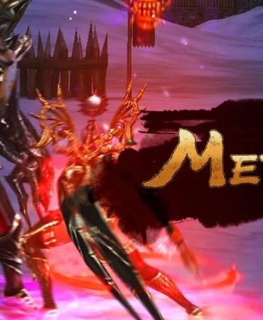 metin2 bot (1)