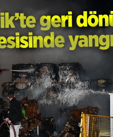 yangınn