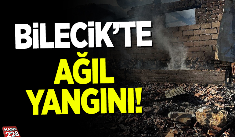 Bilecik’te ağılda çıkan yangın söndürüldü
