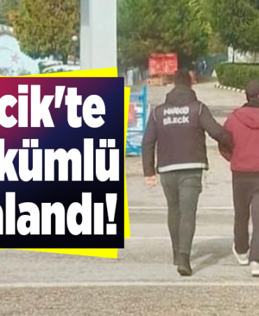 Bilecik'te 2 hükümlü yakalandı