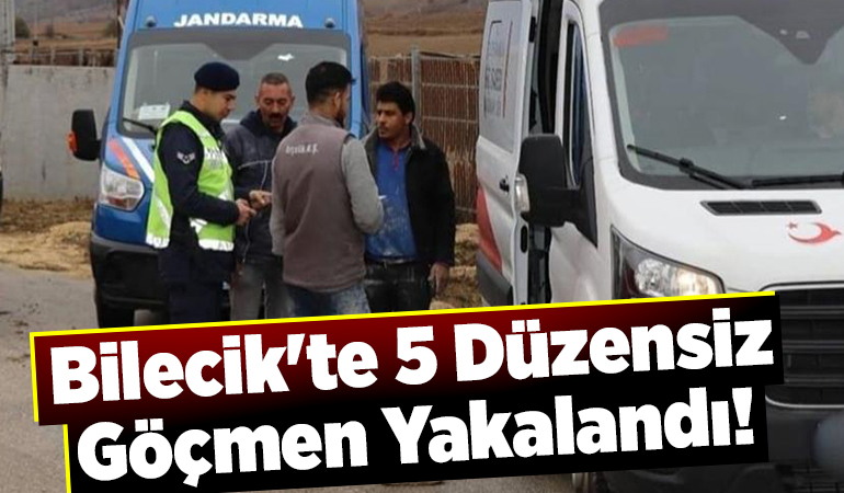 Bilecik’te 5 düzensiz göçmen yakalandı