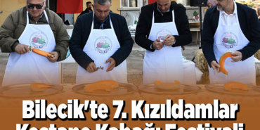 Bilecikte Kızıldamlar Kestane Kabağı Festivali