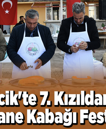 Bilecikte Kızıldamlar Kestane Kabağı Festivali