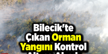 Bilecik'te çıkan orman yangını kontrol altına alındı