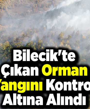 Bilecik'te çıkan orman yangını kontrol altına alındı