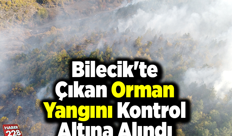 Bilecik’te çıkan orman yangını kontrol altına alındı