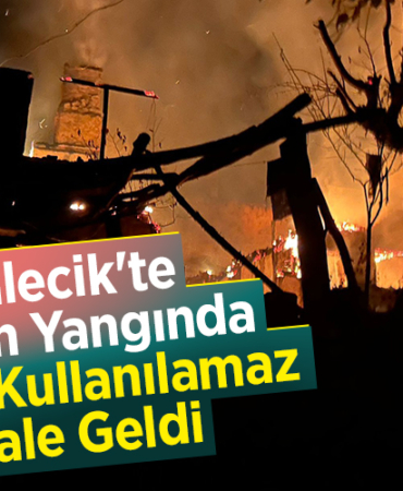 Bilecik'te çıkan yangında iki ev kullanılamaz hale geldi