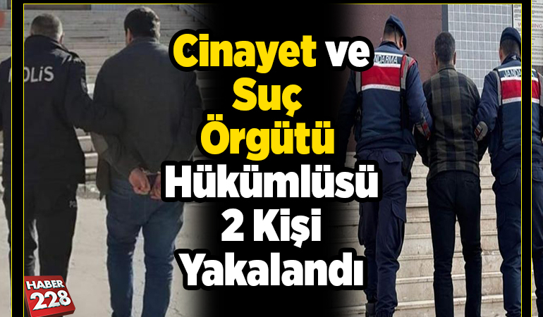 Cinayet ve suç örgütü hükümlüsü 2 kişi yakalandı