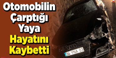 Otomobilin Çarptığı Yaya Hayatını Kaybetti