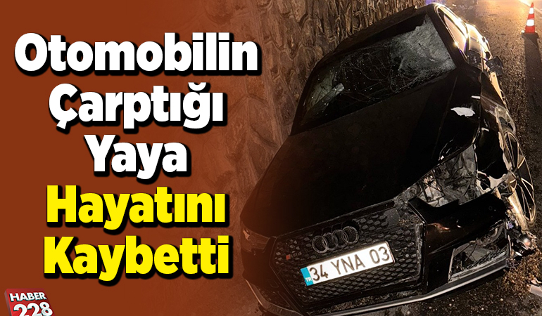 Otomobilin Çarptığı Yaya Hayatını Kaybetti