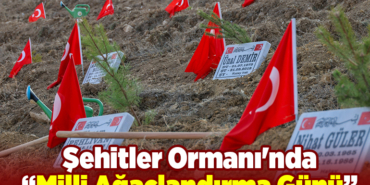 Şehitler Ormanı'nda Milli Ağaçlandırma Günü