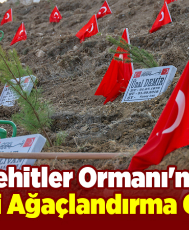 Şehitler Ormanı'nda Milli Ağaçlandırma Günü