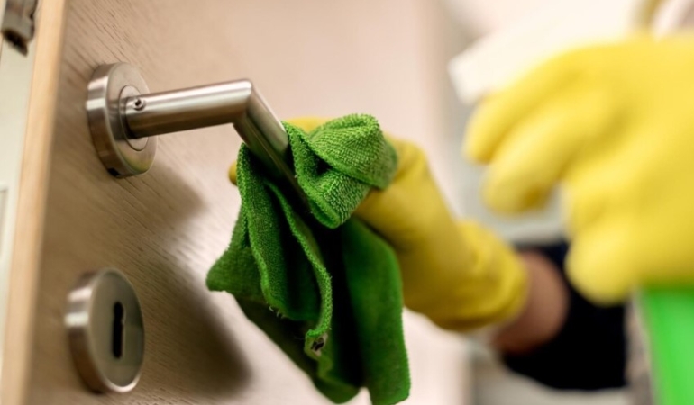 E-Devlet Üzerinden Hijyen Belgesi Nasıl Alınır? İşte Bilmeniz Gereken Her Şey!