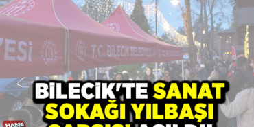 BİLECİK'TE SANAT SOKAĞI YILBAŞI ÇARŞISI AÇILDI!