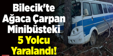 Bilecik'te ağaca çarpan minibüsteki 5 yolcu yaralandı