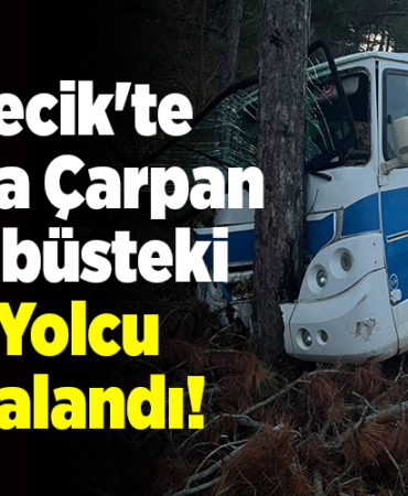 Bilecik'te ağaca çarpan minibüsteki 5 yolcu yaralandı