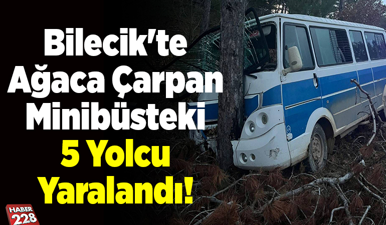 Bilecik’te ağaca çarpan minibüsteki 5 yolcu yaralandı