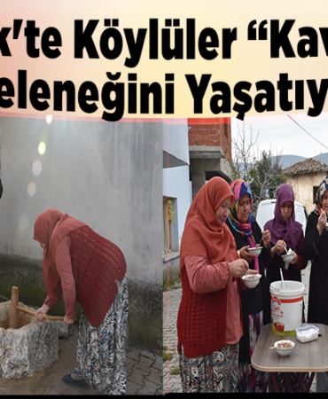 Bilecikte köylüler kavurga geleneğini yaşatıyor